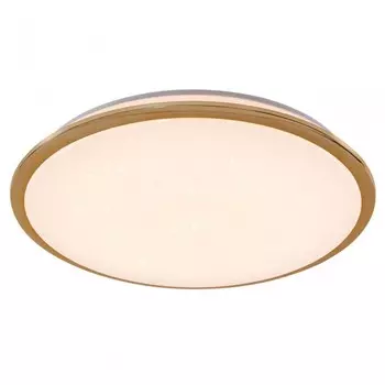 CL70362 Потолочный светодиодный светильник Citilux Старлайт