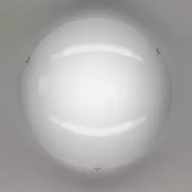 CL918000 Настенно-потолочный светильник Citilux