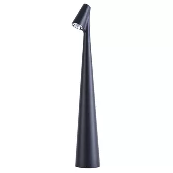 Декоративная настольная лампа Arte Lamp Fusion A3283LT-2BK