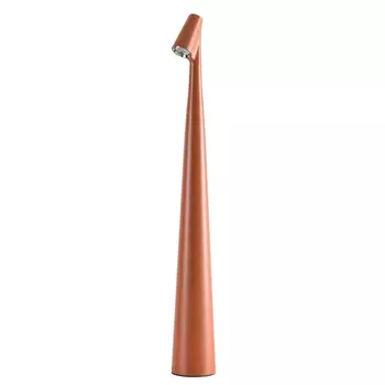 Декоративная настольная лампа Arte Lamp Fusion A3283LT-2BR