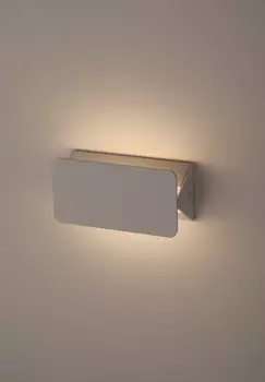 Декоративная подсветка светодиодная Эра WL5 WH Подсветка Б0034602