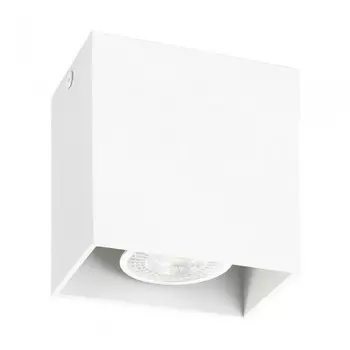 DK2027-WH Точечный накладной светильник DENKIRS