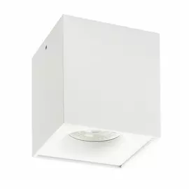 DK2033-WH Точечный накладной светильник DENKIRS