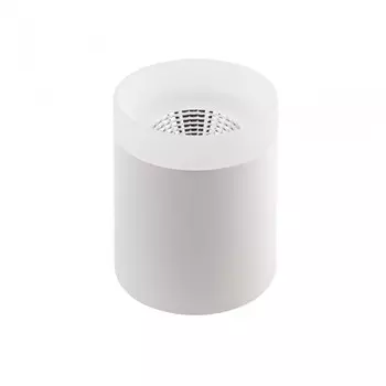 DK4010-WH Точечный накладной светильник DENKIRS