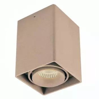 Dl18611/01WW-SQ Champagne Накладной точечный светильник Donolux