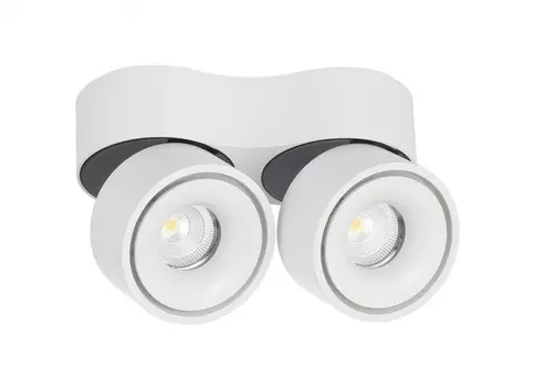 Dl18617/02WW-R White DIM Накладной светодиодный светильник-спот Donolux