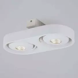 Dl18697/12WW-White Светодиодный светильник-спот Donolux