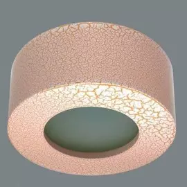 Dl219G/1 Накладной точечный светильник Donolux