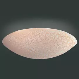 Dl222G/1W1 Настенно-потолочный светильник Donolux