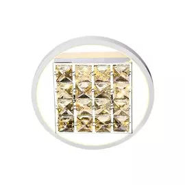 FA104 Настенно-потолочный светодиодный светильник Ambrella light Acrylica