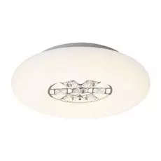 FA158 Потолочный светодиодный светильник с пультом (радио 2.4) Ambrella light Acrylica
