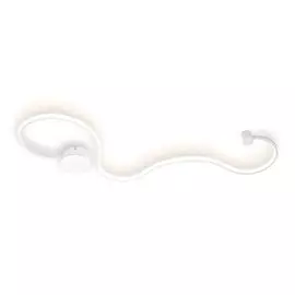 FL417 WH Настенный светильник Ambrella light Metallic