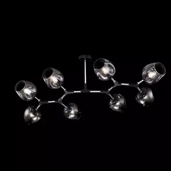 FR5006CL-08B Потолочная люстра Freya Desi