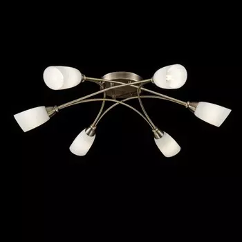 FR5021CL-06BZ Потолочная люстра Freya Alice