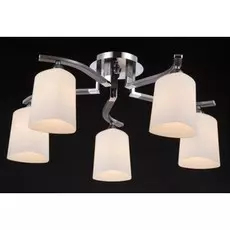 FR5454CL-05CH (MOD131-CL-05-N) TOC001-05-N Потолочная люстра Maytoni Sol