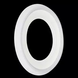 FR6010WL-L18W Бра настенное Freya Blis