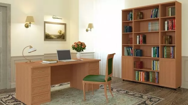 Гарнитур для кабинета Премьер-5 Баронс 398