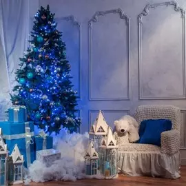 Гирлянда нить 10м IP20 Eurosvet 400-002 голубой (a044099)