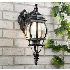 GL 1001D черный / 9913-G Уличный настенный светильник Elektrostandard (a034318)