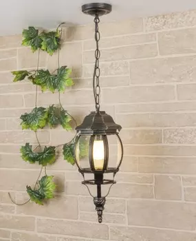 GL 1001H черное золото / 1045 Уличный подвесной светильник Elektrostandard (a034298)