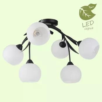 GRLSF-6283-06 Светодиодная потолочная люстра Lussole Bagheria