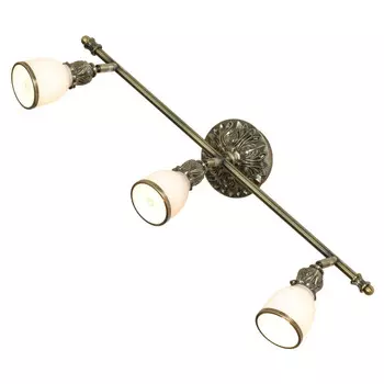 GRLSL-7301-03 Светодиодный спот Lussole Furlo