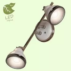 GRLSN-6201-02 Светодиодный спот Lussole Littleton