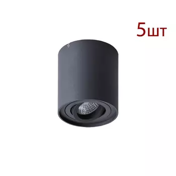 Комплект 5шт. Потолочный светильник Arte Lamp Galopin A1460PL-1BK-5