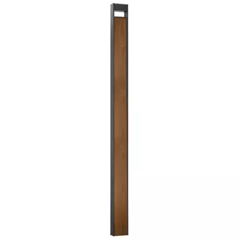 Ландшафтный светильник Arte Lamp Arneb A2140PA-1BR