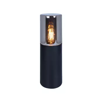 Ландшафтный светильник Arte Lamp Wanz A6218FN-1BK