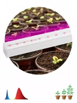 Настенный светодиодный светильник ЭРА Prom Fito-9W-Т5-N Б0045231