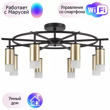 LR7184081 Потолочная люстра Rullo Lightstar с поддержкой Маруся (комплект из 571718+214440-8+202431-8)
