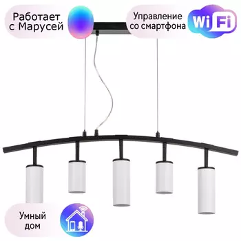 LR735362863 Подвесной светильник Rullo Lightstar с поддержкой Маруся (комплект из 571735+214436-2+214486-3)