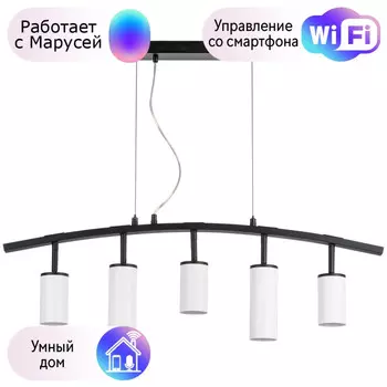LR735363862 Подвесной светильник Rullo Lightstar с поддержкой Маруся (комплект из 571735+214436-3+214486-2)