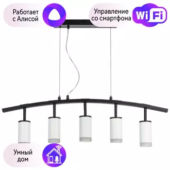 LR7353650 Подвесной светильник Rullo Lightstar с поддержкой Алисы, (комплект из 571735+214436-5+202430-5)