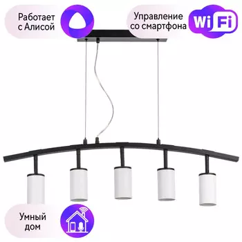 LR735365 Подвесной светильник Rullo Lightstar с поддержкой Алисы, (комплект из 571735+214436-5)