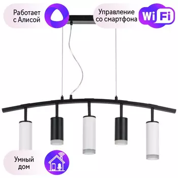 LR7353728630 Подвесной светильник Rullo Lightstar с поддержкой Алисы, (комплект из 571735+214437-2+214486-3+202430-5)