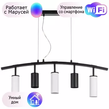 LR735372863 Подвесной светильник Rullo Lightstar с поддержкой Маруся (комплект из 571735+214437-2+214486-3)