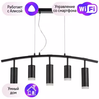 LR7353728730 Подвесной светильник Rullo Lightstar с поддержкой Алисы, (комплект из 571735+214437-2+214487-3+202430-5)