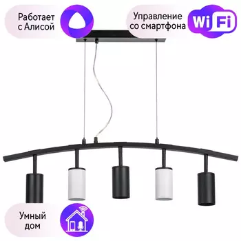 LR735373362 Подвесной светильник Rullo Lightstar с поддержкой Алисы, (комплект из 571735+214437-3+214436-2)