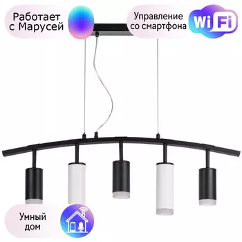 LR7353738620 Подвесной светильник Rullo Lightstar с поддержкой Маруся (комплект из 571735+214437-3+214486-2+202430-5)