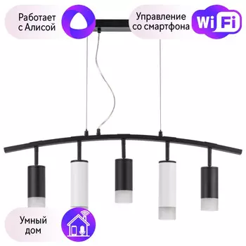 LR7353738621 Подвесной светильник Rullo Lightstar с поддержкой Алисы, (комплект из 571735+214437-3+214486-2+202431-5)