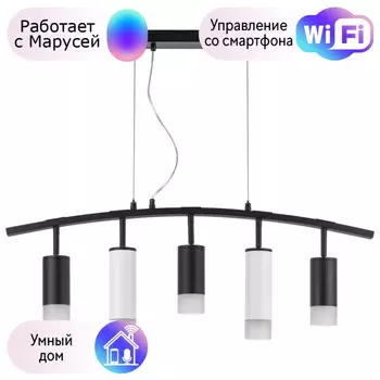 LR7353738621 Подвесной светильник Rullo Lightstar с поддержкой Маруся (комплект из 571735+214437-3+214486-2+202431-5)