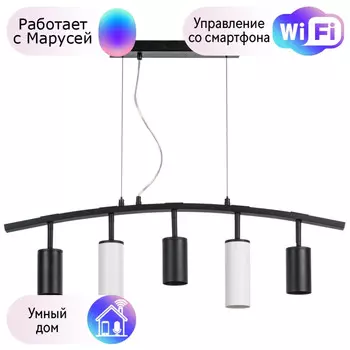 LR735373862 Подвесной светильник Rullo Lightstar с поддержкой Маруся (комплект из 571735+214437-3+214486-2)