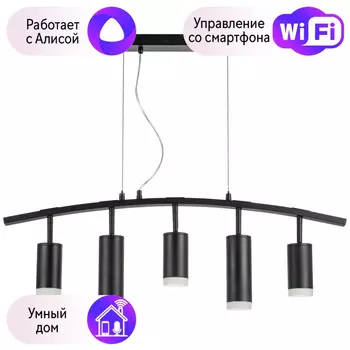 LR7353738720 Подвесной светильник Rullo Lightstar с поддержкой Алисы, (комплект из 571735+214437-3+214487-2+202430-5)