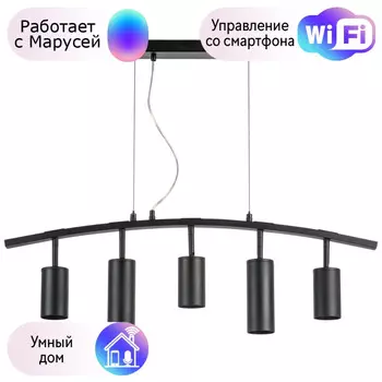 LR735373872 Подвесной светильник Rullo Lightstar с поддержкой Маруся (комплект из 571735+214437-3+214487-2)