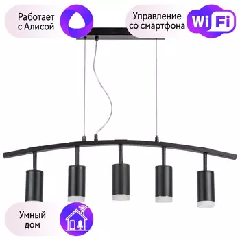 LR7353750 Подвесной светильник Rullo Lightstar с поддержкой Алисы, (комплект из 571735+214437-5+202430-5)