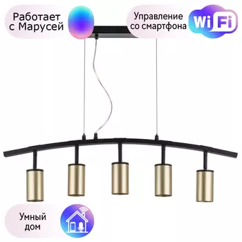 LR735405 Подвесной светильник Rullo Lightstar с поддержкой Маруся (комплект из 571735+214440-5)