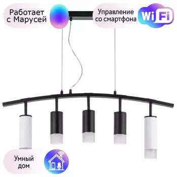 LR7358623731 Подвесной светильник Rullo Lightstar с поддержкой Маруся (комплект из 571735+214437-3+214486-2+202431-5)