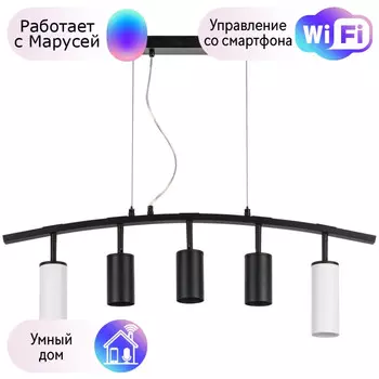 LR735862373Подвесной светильник Rullo Lightstar с поддержкой Маруся (комплект из 571735+214437-3+214486-2)